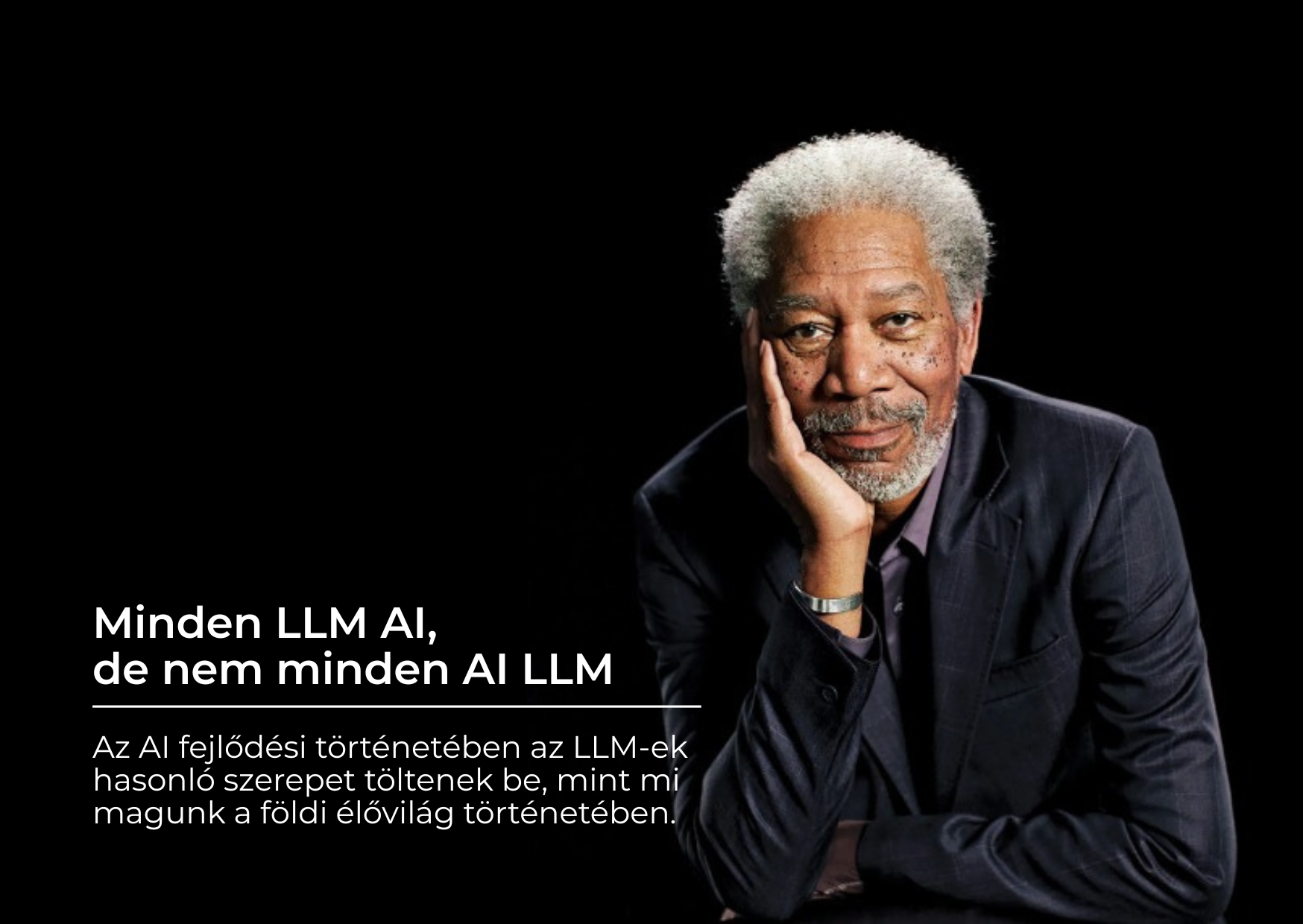 Minden LLM AI